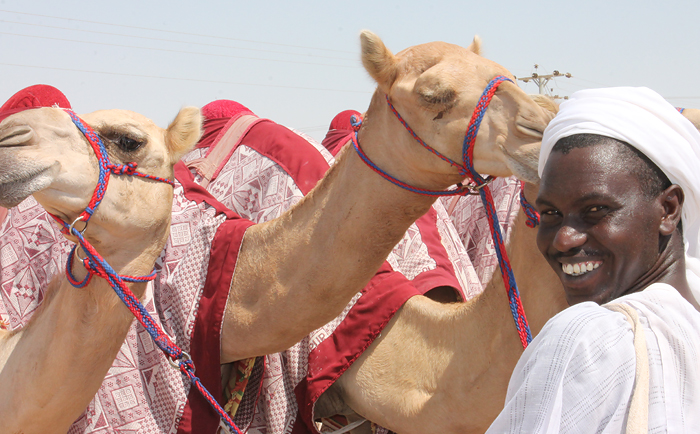 Dromedare mit sudanesischem Tierpfleger. &copy; Susanne Dreier-Phan Quoc