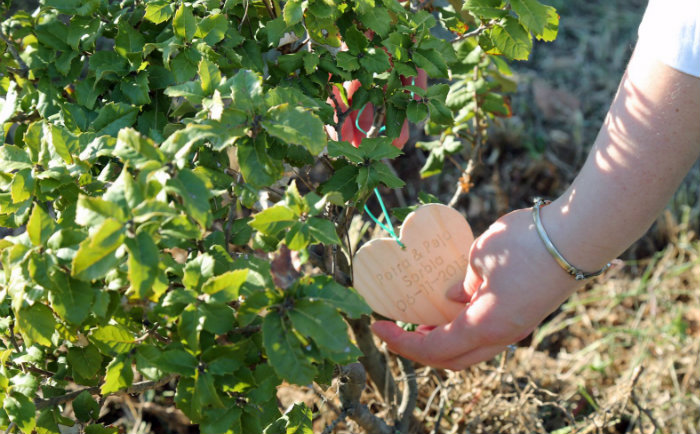 "The Lover's Tree" - Malta © Fremdenverkehrsamt Malta "The Lover's Tree" - Malta © Fremdenverkehrsamt Malta