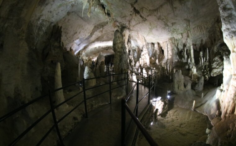 Tropfsteinhöhle Postojna. &copy; Martin Dichler