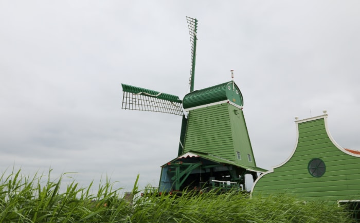 Windmühlen auf einer Tour nach Nord-Holland. &copy; Ingrid Fiedler