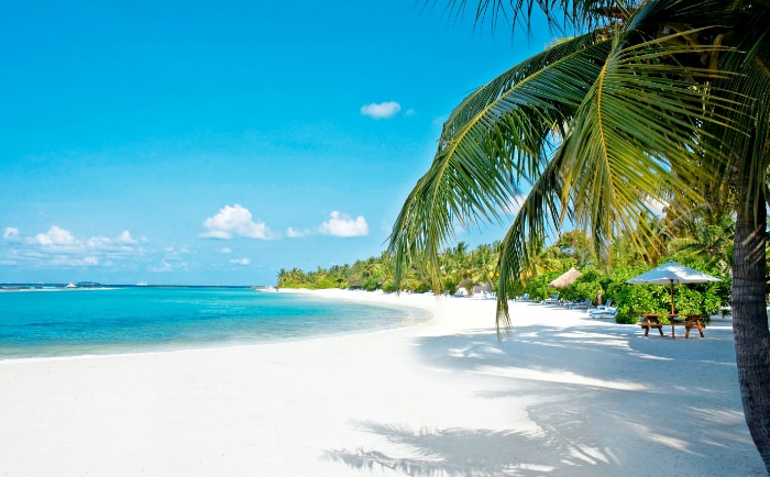 Kein Wunder, dass die Malediven ein beliebtes Reiseziel sind. &copy; TUI