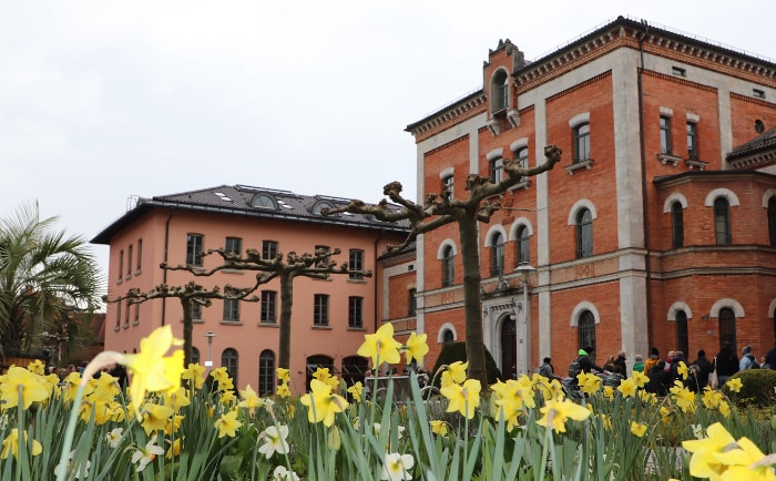 Das Rathaus von Rosenheim. &copy; Martin Dichler