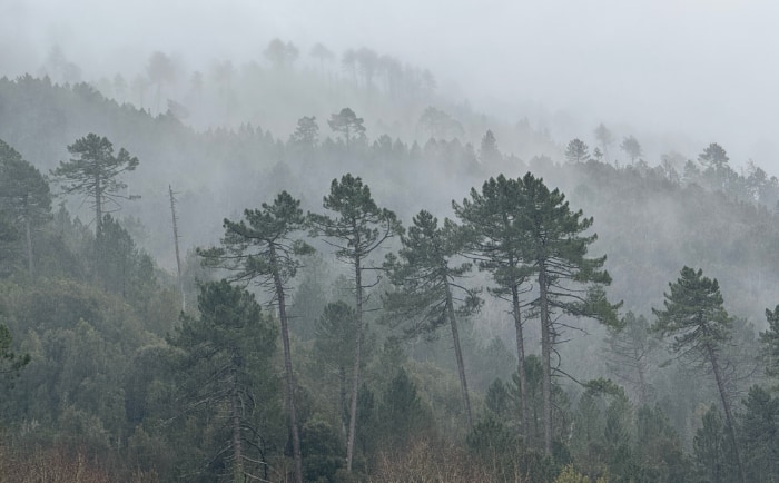 Hinterland in der Region Ajaccio. &copy; ReiseInsider