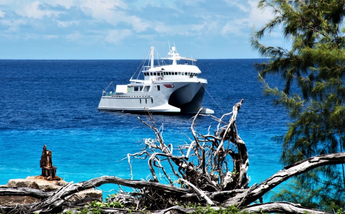 Die kleine Basilisk im Aldabra Atoll. &copy; Silhouette Cruises / Basilisk Cruises
