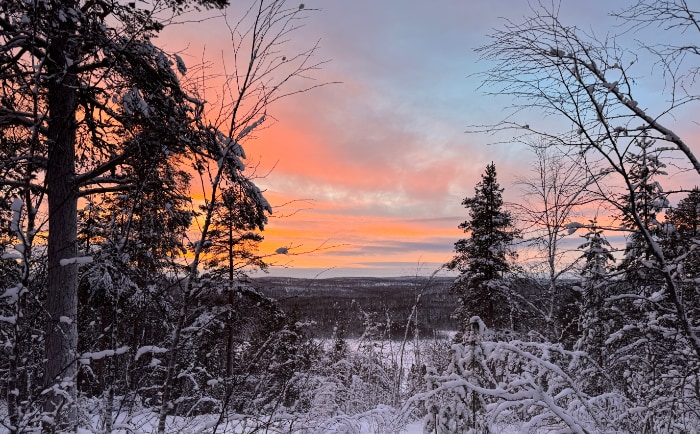Schnee und tolle Lichtstimmungen in der Gegend um Ivalo. &copy; ReiseInsider