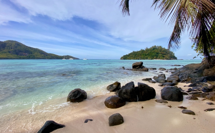 Strand statt Schnee: Auch im kommenden Winter wollen viele der Kälte entkommen. © ReiseInsider Strand statt Schnee: Auch im kommenden Winter wollen viele der Kälte entkommen. © ReiseInsider